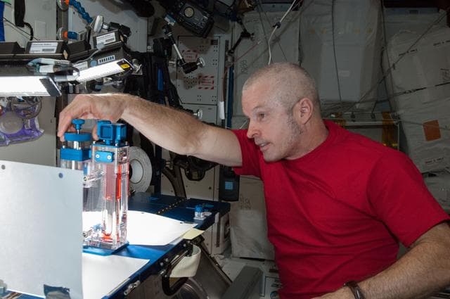 NASA image: Swanson conducts CFE session