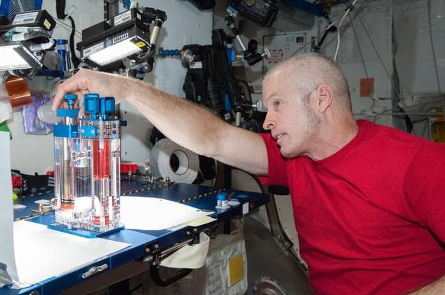 NASA image: Swanson conducts CFE session