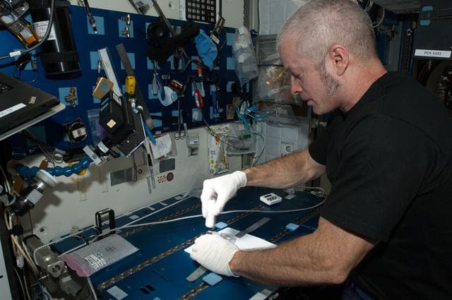 NASA image: Swanson in Node 2 with ACE samples