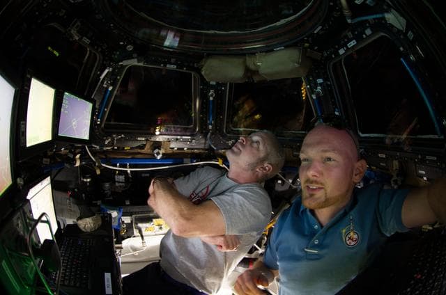 Cygnus capture