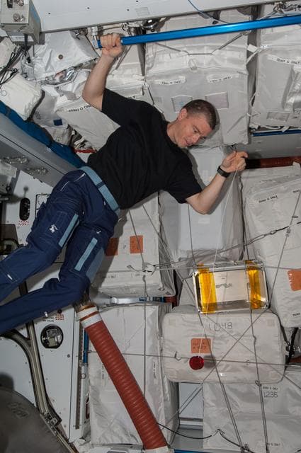 NASA image: Wiseman with yoyo in Node 2