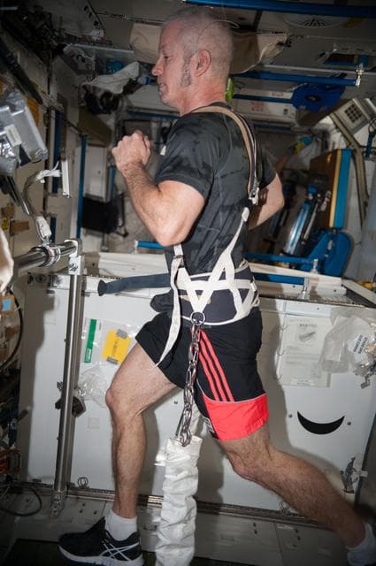 NASA image: Swanson exercises on COLBERT in Node 3