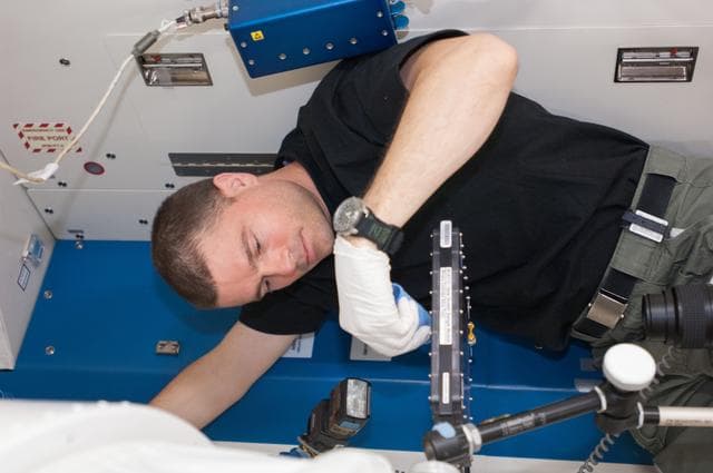 NASA image: Wiseman conducts BCAT-C1 experiment