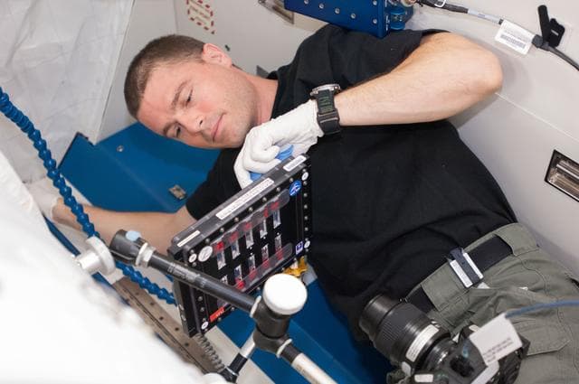 NASA image: Wiseman conducts BCAT-C1 experiment