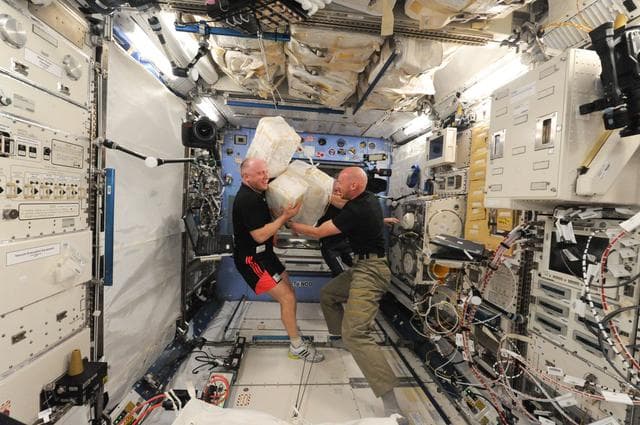 NASA image: Stowage bags in Kibo laboratory