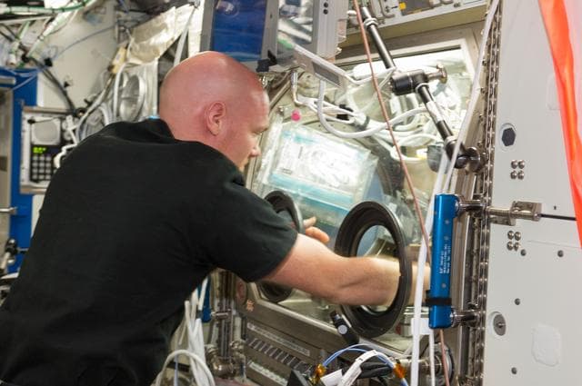 NASA image: Gerst during BASS-II experiment