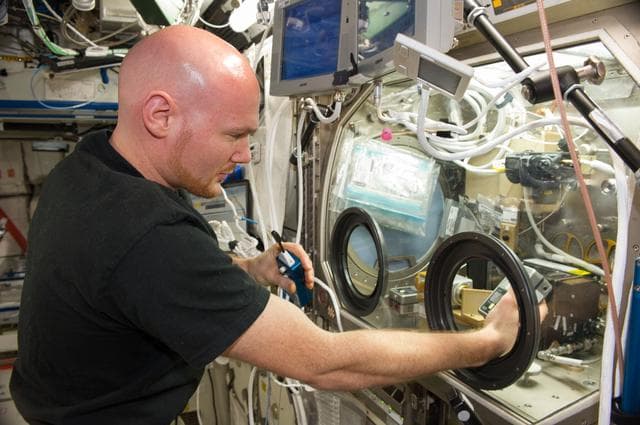 NASA image: Gerst during BASS-II experiment