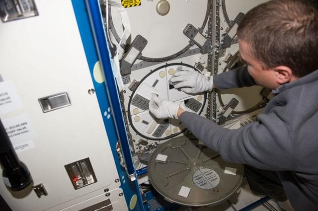 NASA image: Cold Stowage Sample Inspection Veg photo