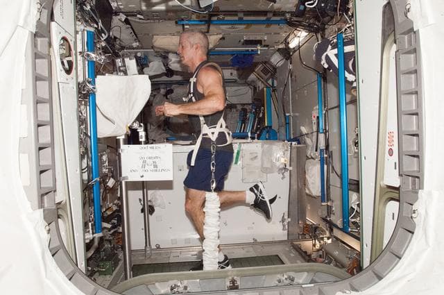 NASA image: Swanson on COLBERT in Node 3