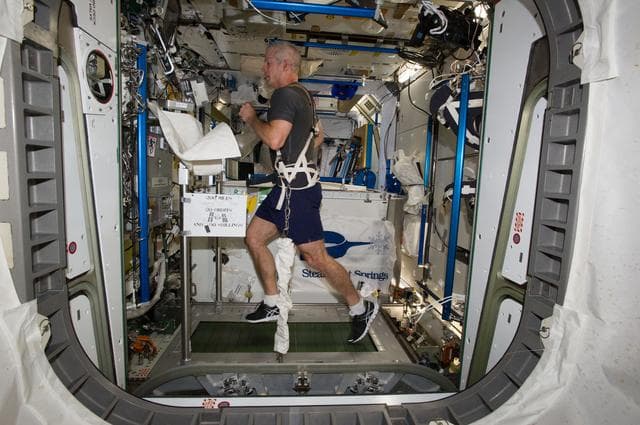 NASA image: Swanson on COLBERT in Node 3.