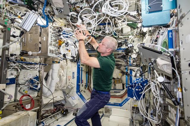 NASA image: Swanson in U.S. Laboratory