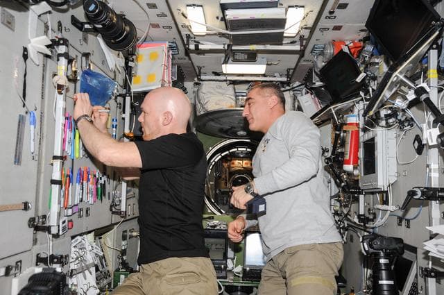 NASA image: MATRYOSHKA-R. Receiving and preparing of PADLE detectors for return
