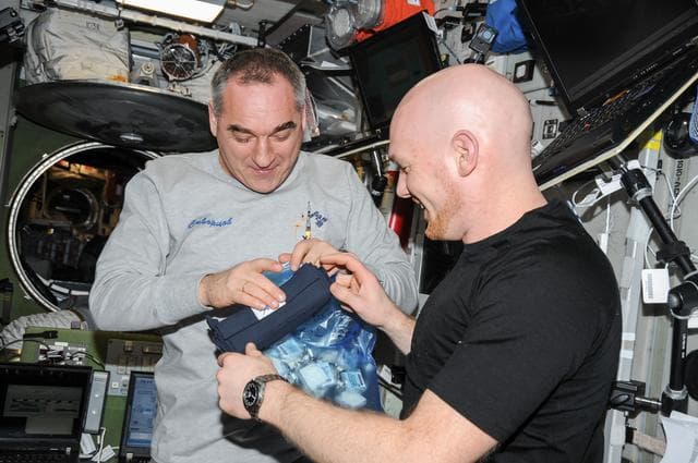 NASA image: MATRYOSHKA-R. Receiving and preparing of PADLE detectors for return