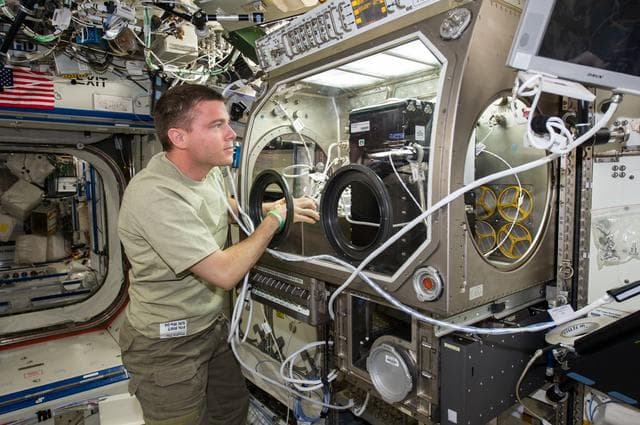 NASA image: CCF teardown