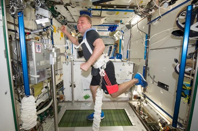 NASA image: Suraev exercises on the COLBERT / T2 Treadmill in the Node 3