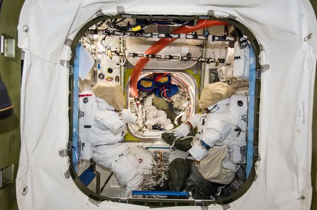 NASA image: Wiseman works within stowed equipment in the A/L