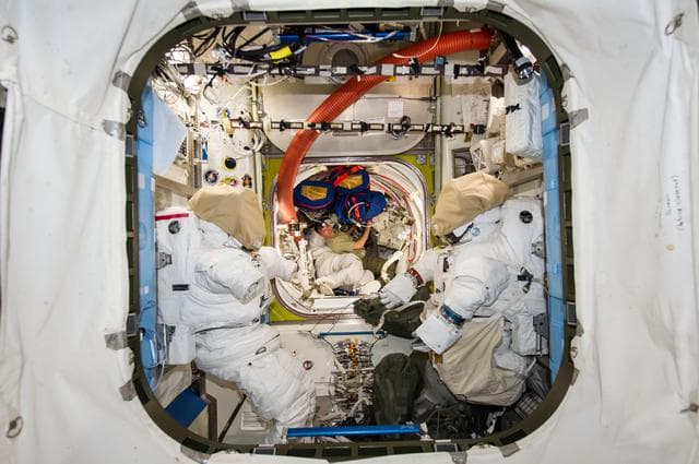 NASA image: Wiseman works within stowed equipment in the A/L