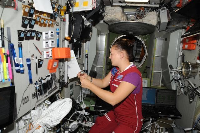 NASA image: Serova working in the SM
