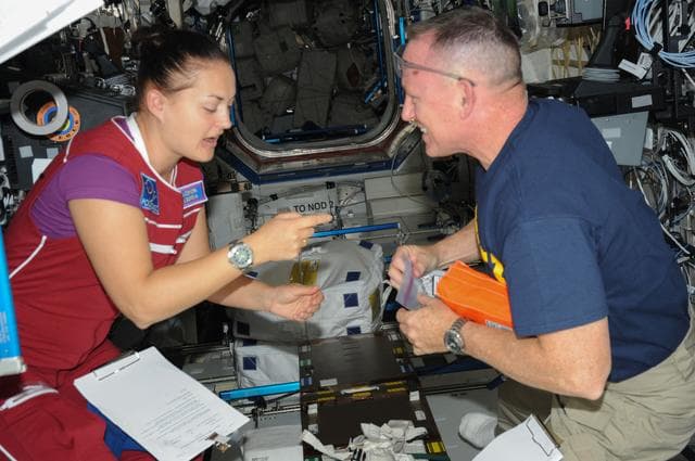 NASA image: Serova and Wilmore working in the U.S. Laboratory