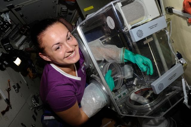 NASA image: Serova works with test samples from Kaskad Cell Cultivation Experiment