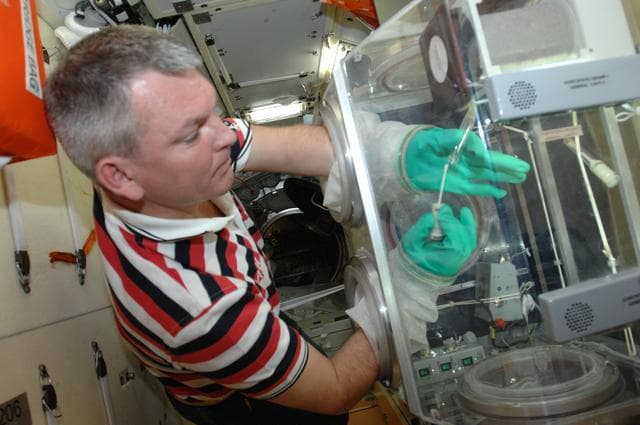 NASA image: Samokutyaev works with the bioscience experiment ASEPTIC