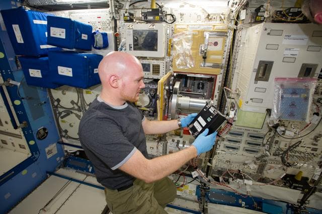 NASA image: Gerst during Cell Mechanosensing 2 Microscope Observation