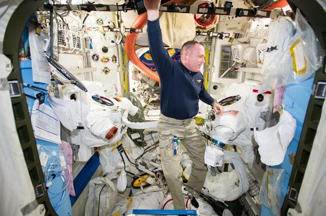 NASA image: Wilmore during EMU Cooling Loop Maintenance - Part 2