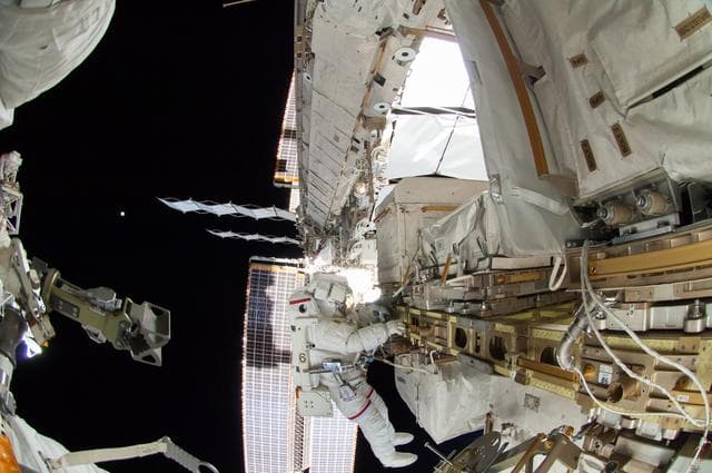 NASA image: Wiseman during EVA