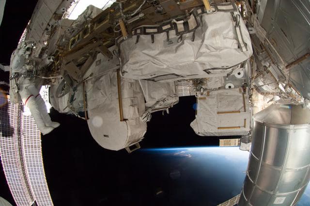 NASA image: Wiseman during EVA
