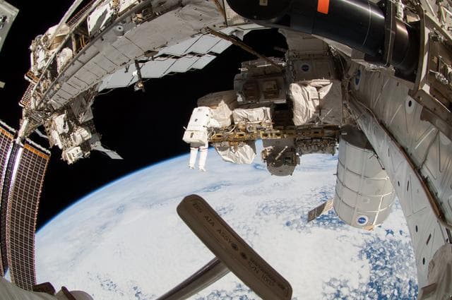 NASA image: Wiseman during EVA
