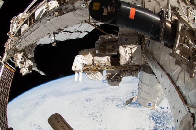 NASA image: Wiseman during EVA