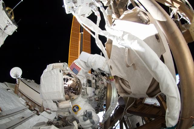 NASA image: Wiseman during EVA