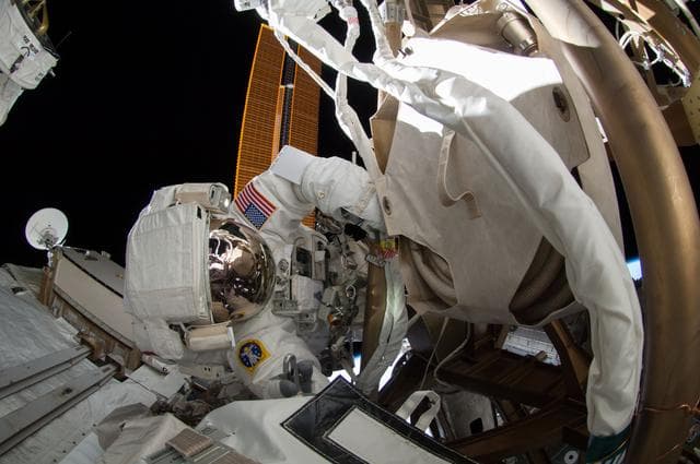 NASA image: Wiseman during EVA