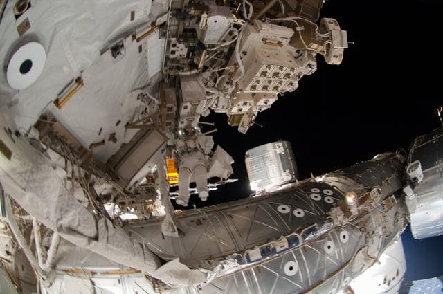 NASA image: Wiseman during EVA