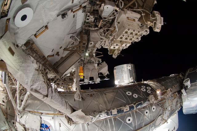 NASA image: Wiseman during EVA