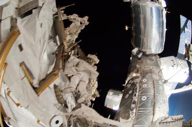 NASA image: Wiseman during EVA