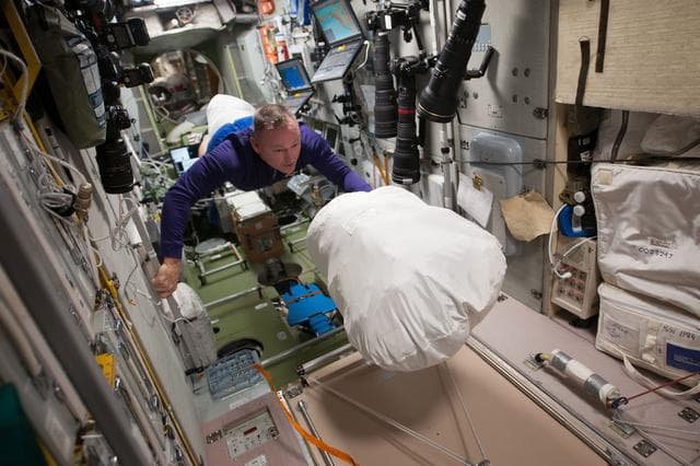 NASA image: Wilmore with Trash Bag in SM