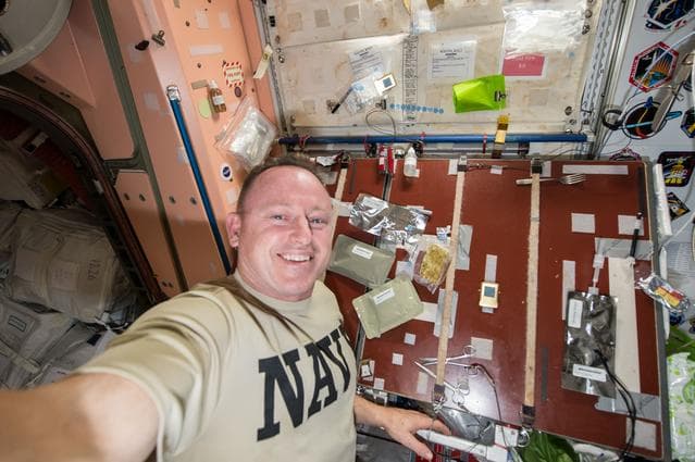 NASA image: Wilmore with Planned Thanksgiving Meal Items