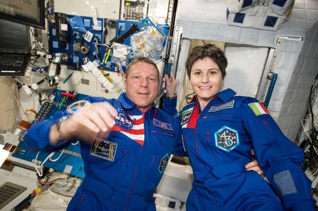 NASA image: Virts and Cristoforetti in Node 2