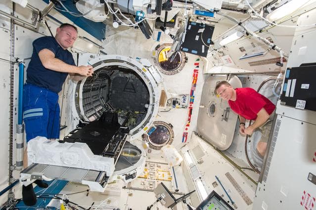 NASA image: Wilmore and Virts during Cyclops Installation on JEMAL Slide Table