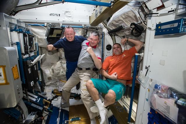 NASA image: iss042e016248