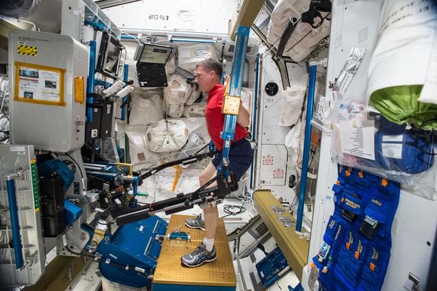NASA image: iss042e016703