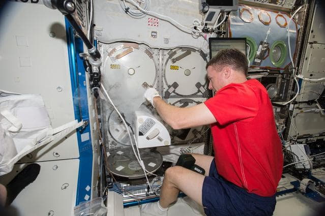 NASA image: iss042e016731