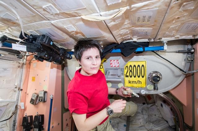 NASA image: Cristoforetti during Lunch