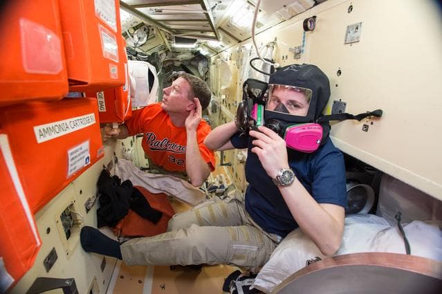 NASA image: Virts and Cristoforetti during Emergency Hardware Familiarization OBT