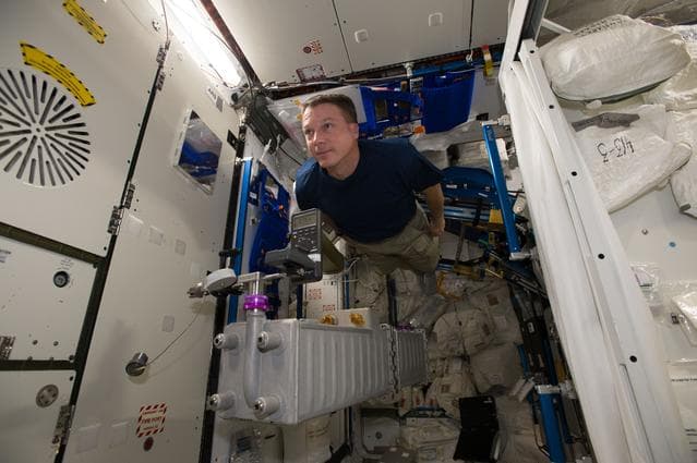 NASA image: iss042e021333