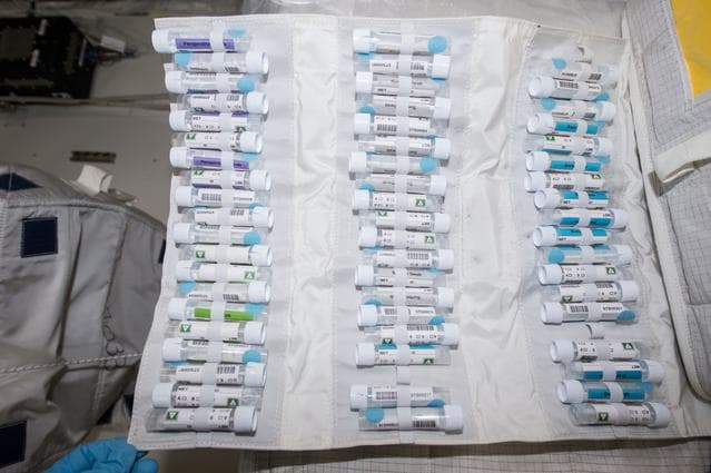 NASA image: Microbiome Body Sampling Operations