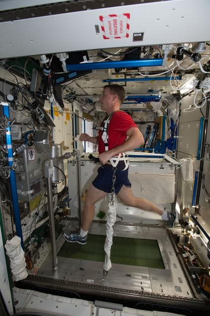 NASA image: iss042e021677