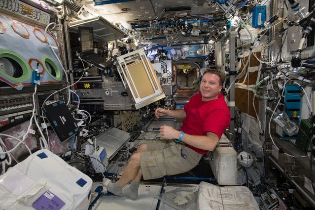 NASA image: iss042e034569