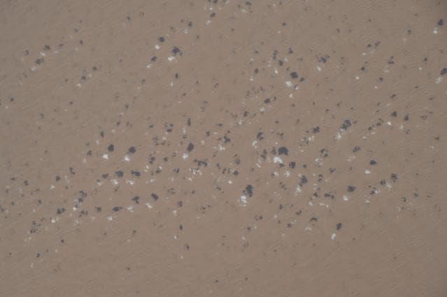 NASA image: iss042e049179